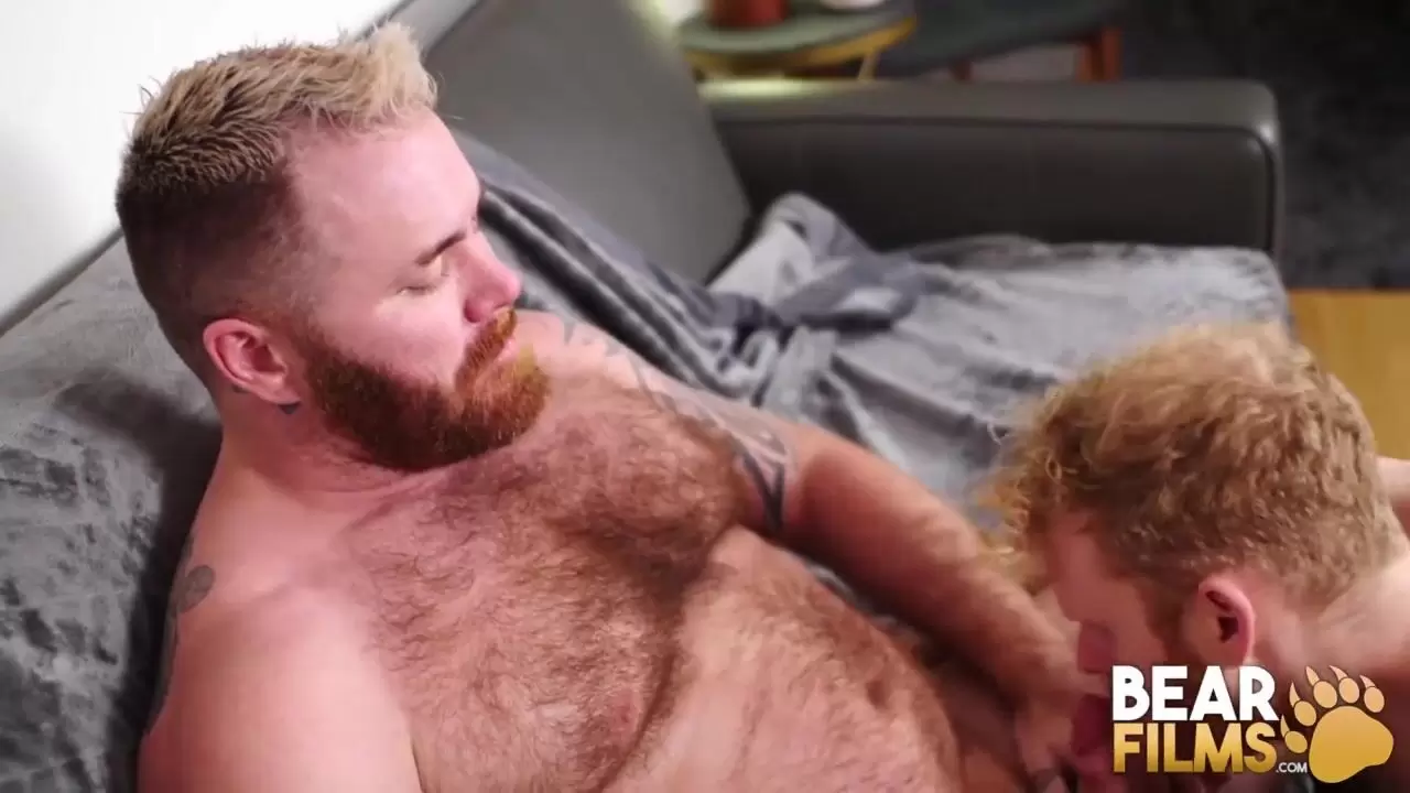 Bear BFs model cutest cute gay bears sex HD pics