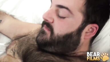 BEARFILMS Inked Bear Fingers And Pounds Shaggy Enzo Ferrari