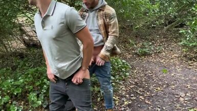 Breeding In The Cruising Area.