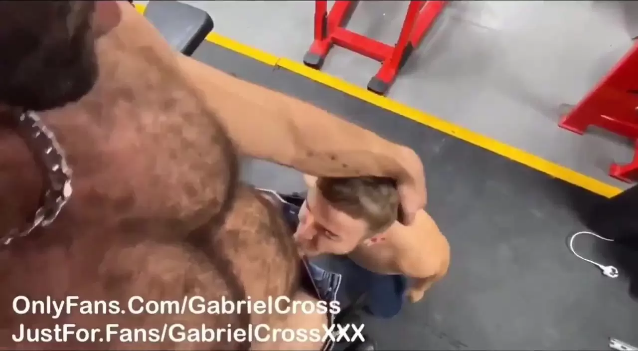 Compilación bull barrett