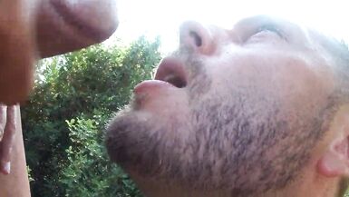 Summer Cruising - 5 image