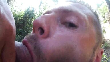 Summer Cruising - 6 image