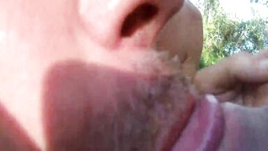 Summer Cruising - 7 image