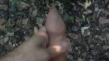 Masturbation Piss Ejac Foret - 1 image