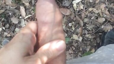 Masturbation Piss Ejac Foret - 3 image