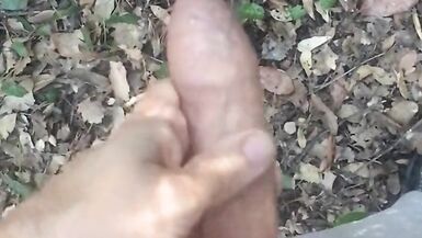 Masturbation Piss Ejac Foret - 9 image