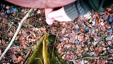 Mijando com tesão na caminhada da floresta