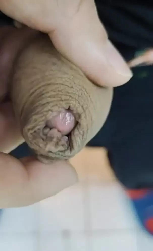 Foreskin cock precum Close-up precum, foreskin, uncut cock watch online