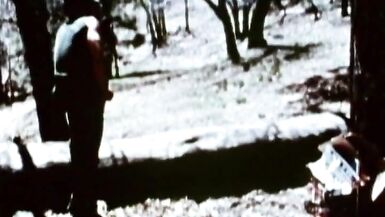 Born to Raise Hell (1975)