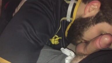 gay cubs bear hairy bearded guys compilation vol 1