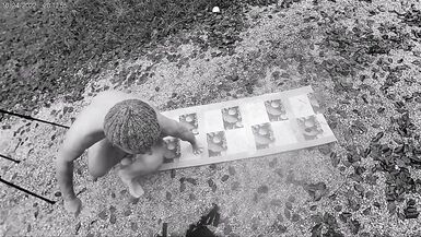 Andy Haxn Woigla 3 Freestyle Gymnastic in Nature with trained Legs Biceps Posing Autumn Halloween Time Greek Wide Feet