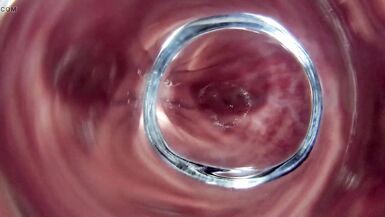 Anal inside look throughout the glass plug