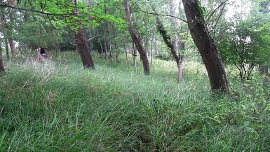 ao ar livre desgastado em sua caminhada de caminhada para despojar