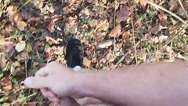 Walking near the highway