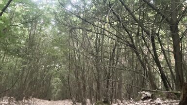 Naked outdoors during a cycling ride jerking off and cumming