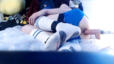 Este cachorro tem o seu buraco destruído por uma máquina