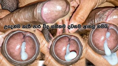 Büyük penis srilankalı çocuk evde yağ masajı ele büyük cum yükleme