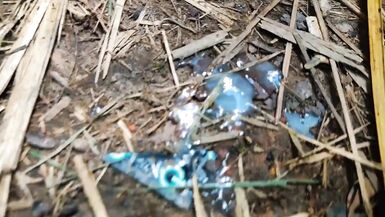 I went up the trail and along the way I found a guy jerking off and on the side several males making out, I soon joined the orgy. - 3 image