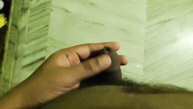 Desi Village Big Cock Lund Penis Dick Masterbation - 12 image