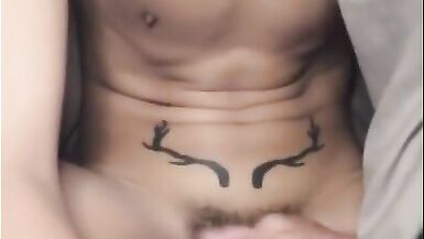 Super handsome and delicate little brother, a little stunner with delicate skin and tender meat (Hairless pink chrysanthemum)-1