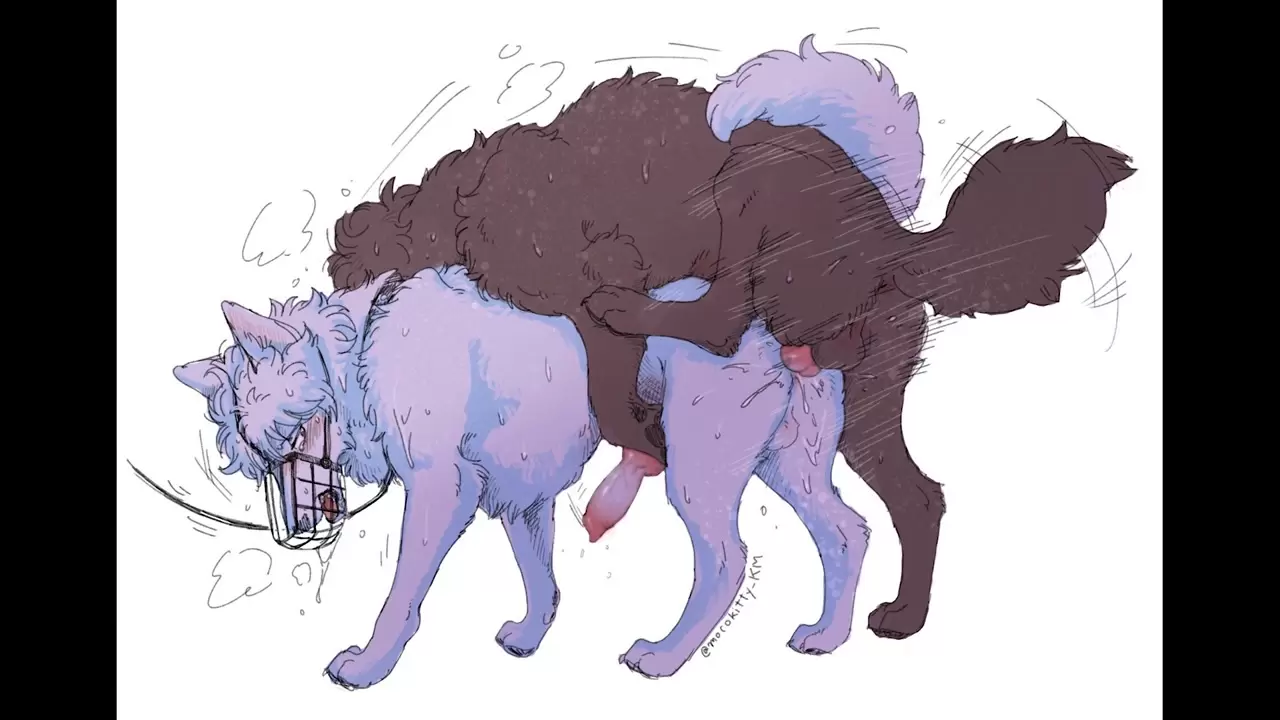 Anatomically Correct Yiff Compilation 25