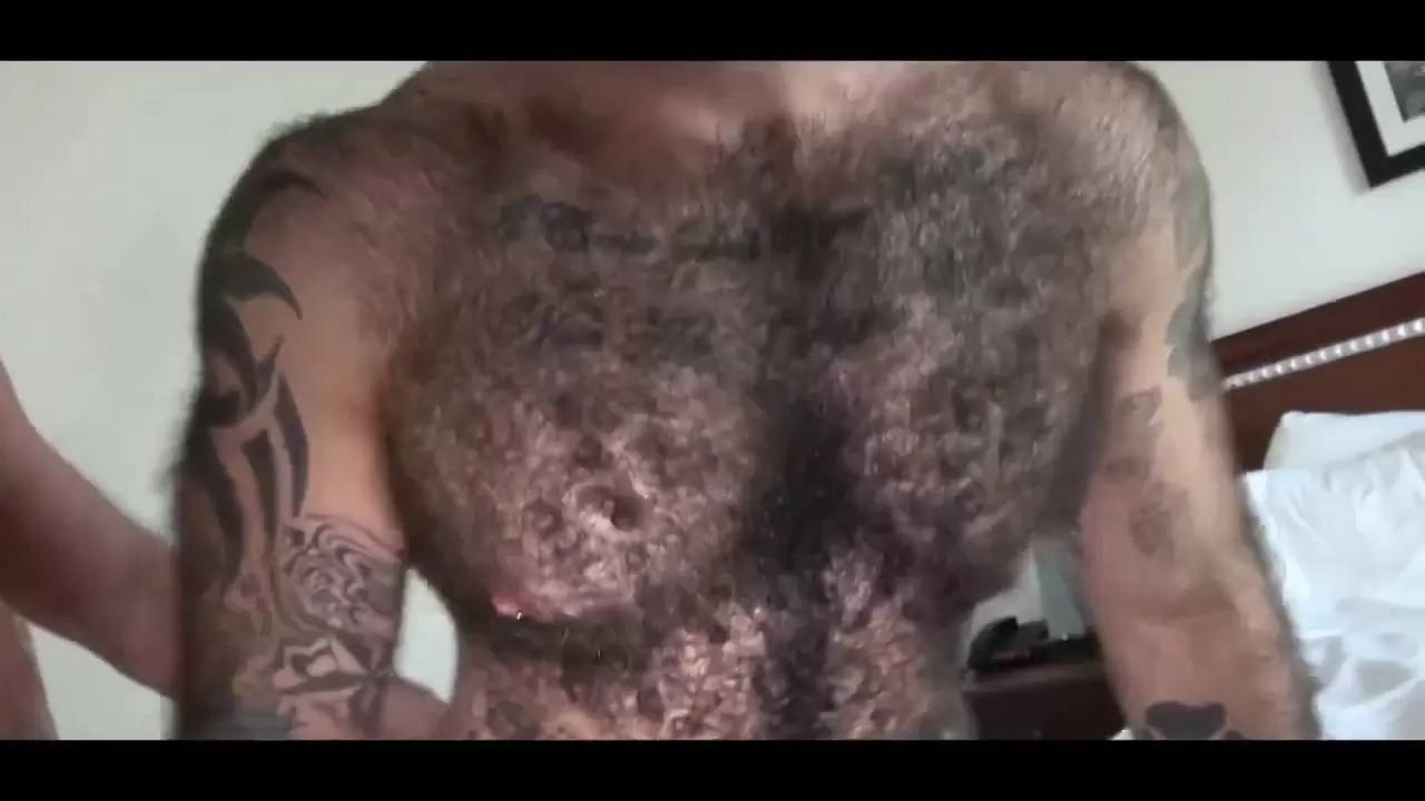 Volteando amigos peludos