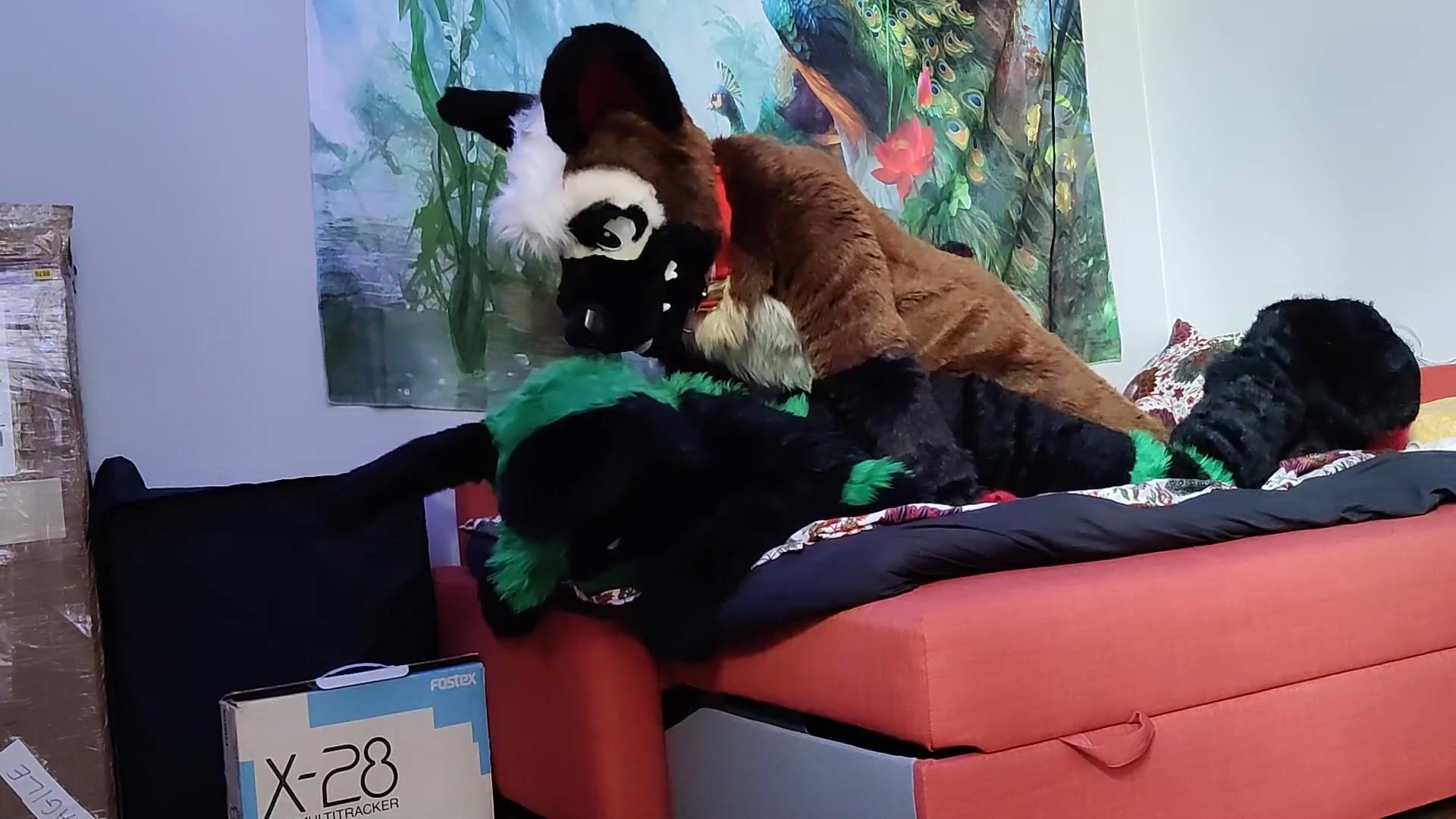 Pastor alemán engendra un conejito - Fursuit YIFF reproductando ver en linea